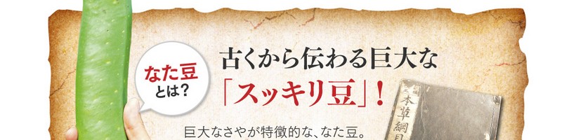 薩摩なた豆爽風茶情報サイト
